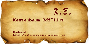 Kestenbaum Bálint névjegykártya