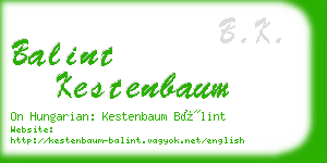 balint kestenbaum business card